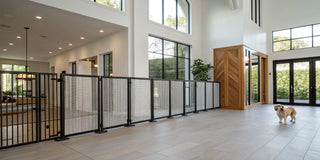 A stylish extra wide dog gate in a modern living room with a small dog.