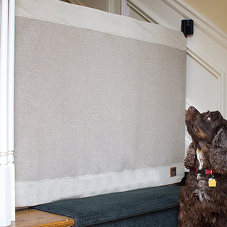 Why It’s Safer to Keep Your Dog Off the Stairs