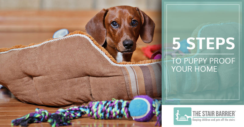 5 Steps to Puppy Proof Your Home