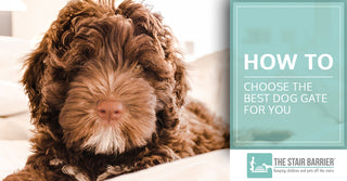 How To Choose The Best Dog Gate For You