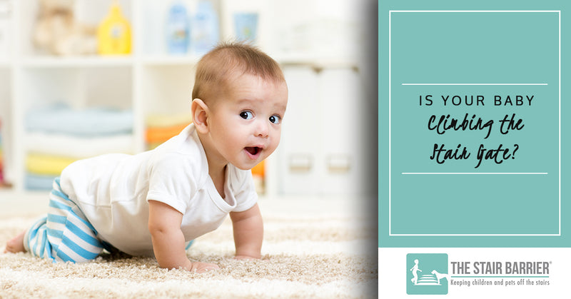 Is your Baby Climbing the Stair Gate?