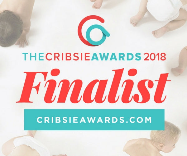Vote for The Stair Barrier in the Crisbie Awards!