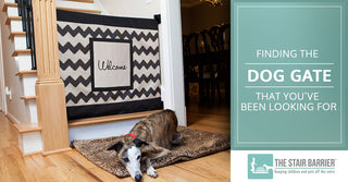 Finding the Dog Gate That You’ve Been Looking For