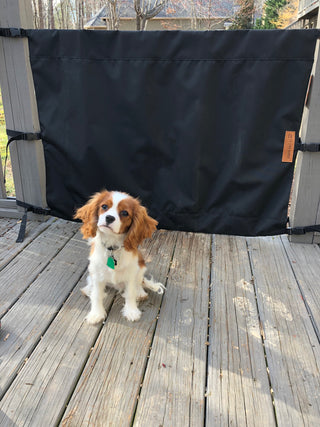 Keeping Your Dog Safe in the Summer Heat