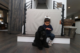 Stylish Stair Gates for Eco-Friendly Homes