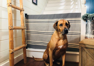 Safety + Style Make The Stair Barrier A Favorite of Baby and Pet Parents