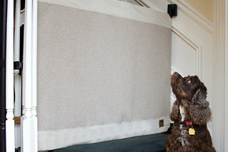 Keeping Dogs Off the Stairs