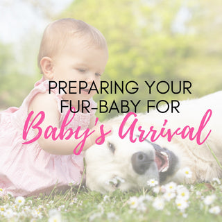 Prep Your Pooch