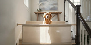Fabric stair barrier fitted between a wall and banister in a bright home with a dog waiting behind it