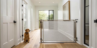 Retractable dog gate installed in a hallway next to a small dog.