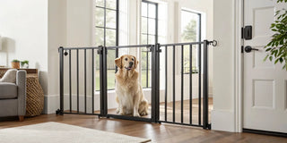 Indoor dog safety gate with a golden retriever in a modern living room.