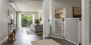 5 Best Retractable Dog Gates for Every Home – THE STAIR BARRIER