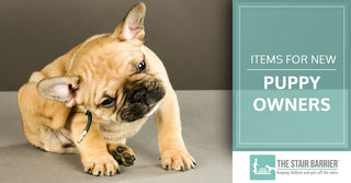 Items for New Puppy Owners