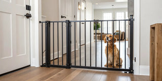 Stylish indoor dog gate keeping a golden retriever safe in a modern home.